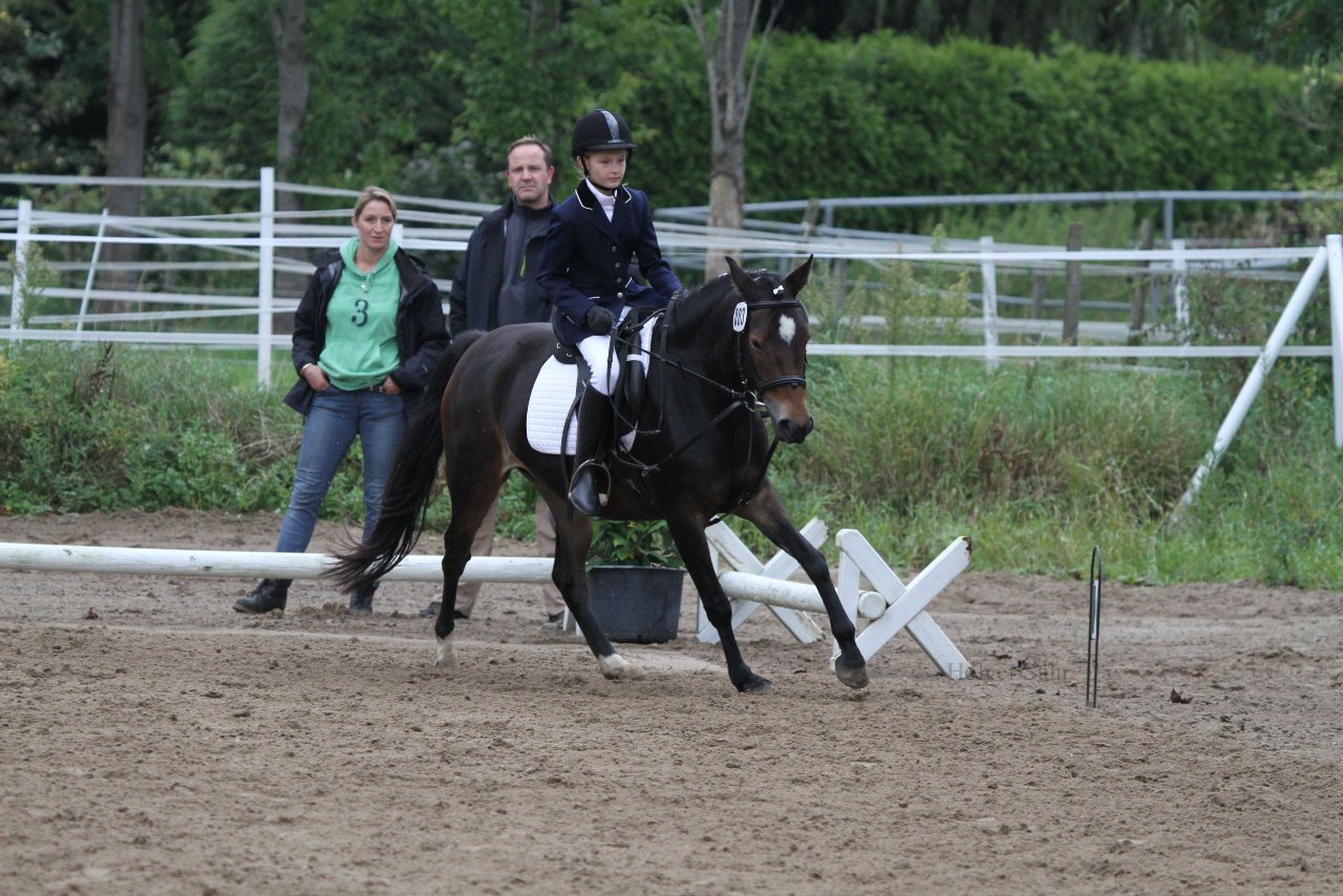 Bild 1123 - WBO-Turnier am 18.9.11
